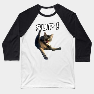 Cat Licking its Butt Baseball T-Shirt